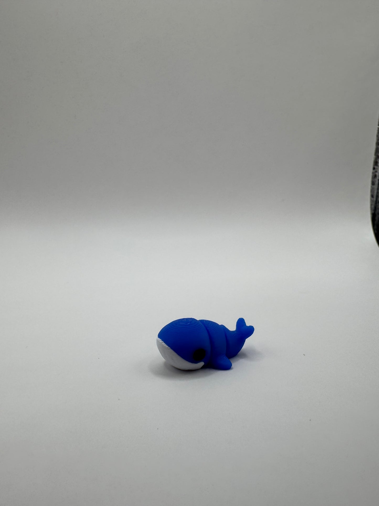 Mini Ocean Animal Fidget Toys – 3D Printed Sea Creatures Set | Sensory Toys for Kids | Beach Party Favors | Montessori Ocean Gift